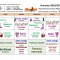 Horarios clases de danza y baile mushi